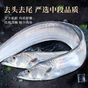带鱼新鲜冷冻刀鱼中段特级大号东海小眼深海鱼鲜活海鲜整箱10斤装